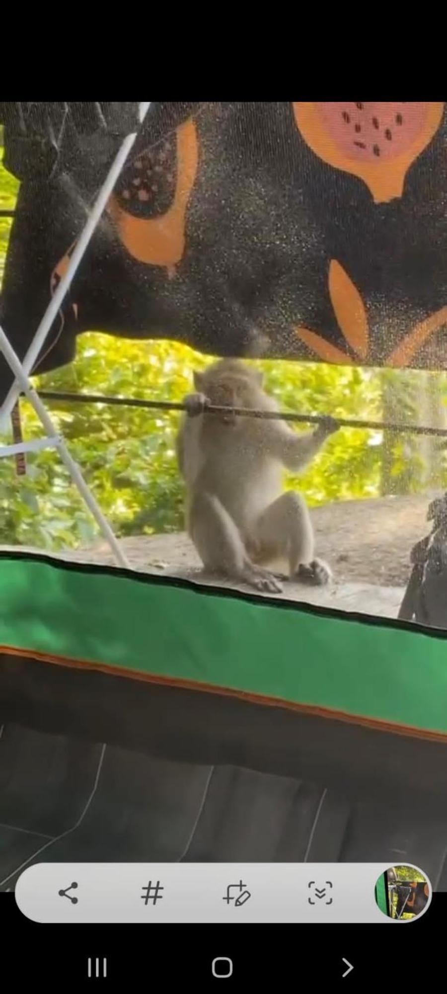 Joy Camping 哈林海滩 外观 照片